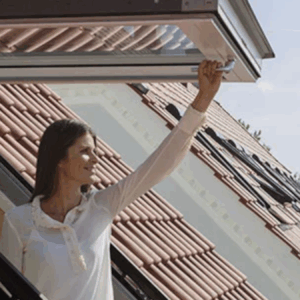 Roof Windows