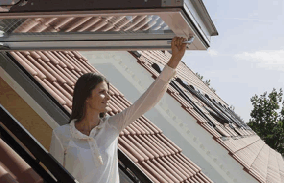 Roof Windows